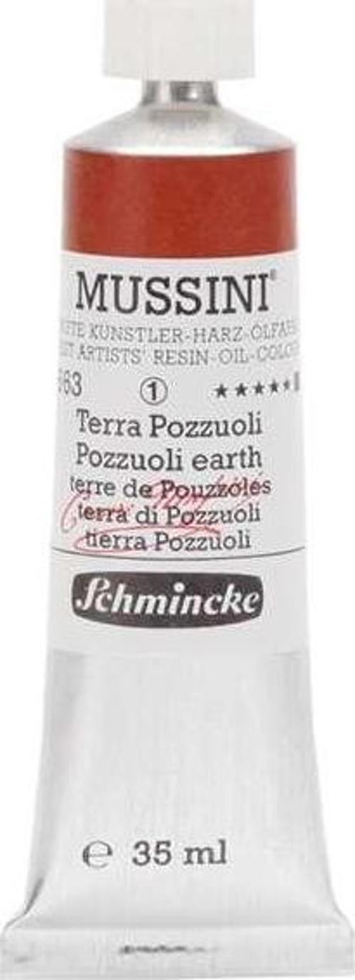 Mussini Profesyonel Yağlı Boya 35 ml Seri 1 Pozzuoli Earth 663