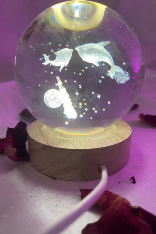 3D Led Işık Cam Küre Gün Işığı Ahşap Yunus lar Büyük 8cm