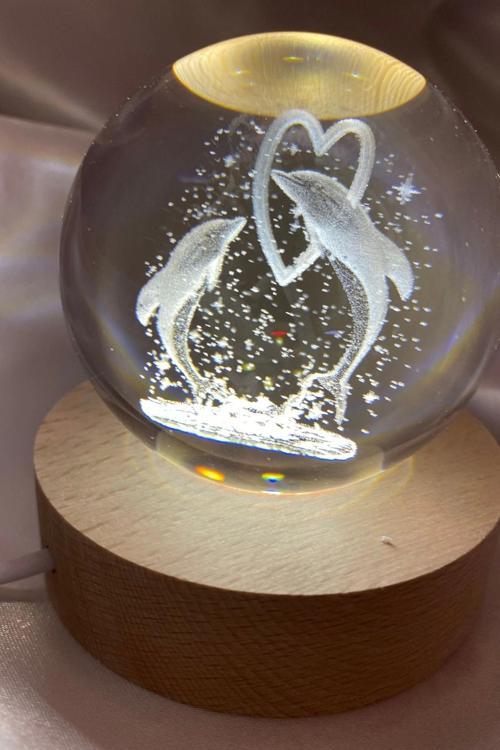 3D Led Işık Cam Küre Tek Renk Günışığı Ahşap Kalp Yunus