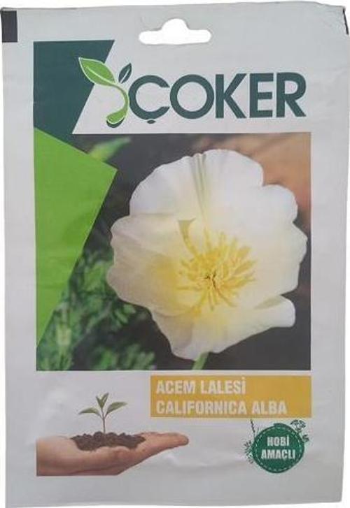 Acem Lalesi Çiçek Tohumu