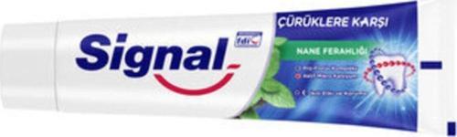 Çürüklere Karşı Nane Ferahlığı 100 Ml