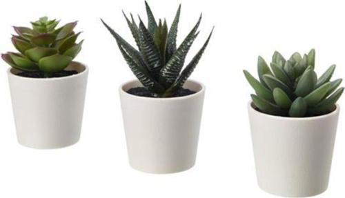 3Lü Yapay Kaktüs Saksılı Yapay Bitki, Kaktüs Mini 6 Cm Ev Dekorasyon Iç-Dışmekan