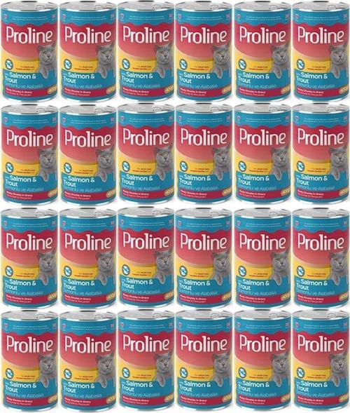 Somonlu ve Alabalıklı Yetişkin Kedi Konservesi 400 Gr*24 Adet