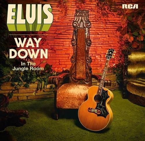 Way Down In The Jungle Room