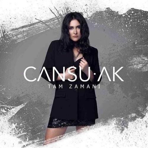 Tam Zamanı