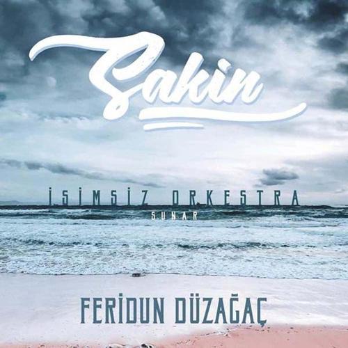 Feridun Düzağaç Sakin Plak