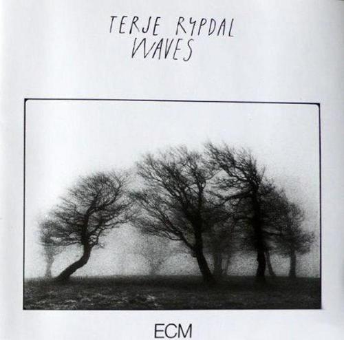 Terje Rypdal Waves Plak