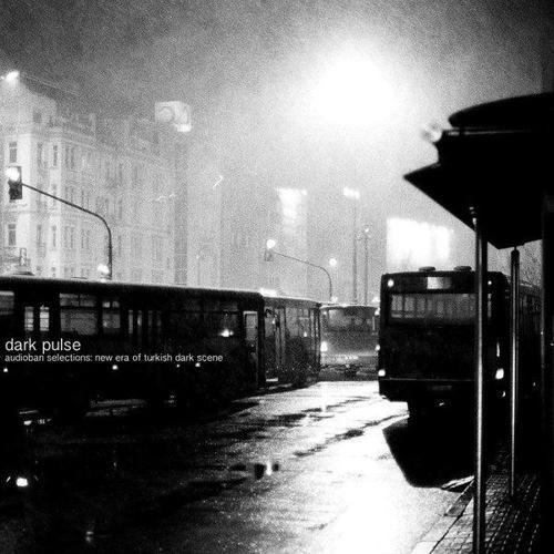 Çeşitli Sanatçılar Dark Pulse / Selections: New Era of Turkish Dark Scene Plak
