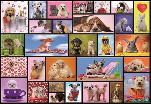 15518 Shared Moments 1000 Parça Puzzle