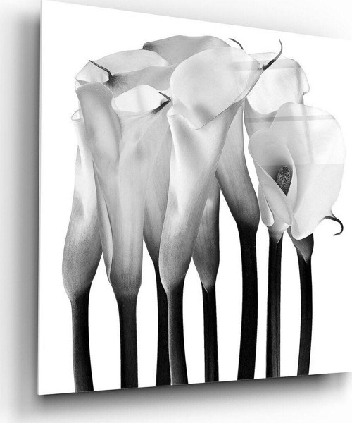 Çiçekler Cam Tablo | Hediyelik, Dekoratif, Ofis, Mutfak