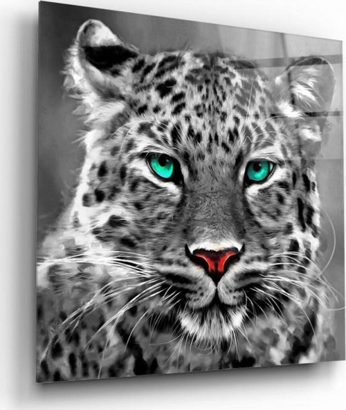 Leopar Cam Tablo | Hediyelik, Dekoratif, Ofis, Mutfak