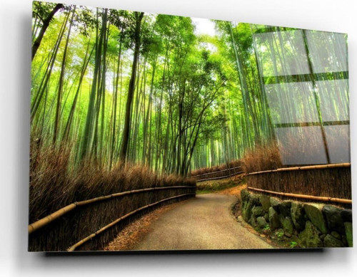 Orman Yolu Cam Tablo | Hediyelik, Dekoratif, Ofis, Mutfak