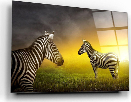 Zebra Cam Tablo | Hediyelik, Dekoratif, Ofis, Mutfak