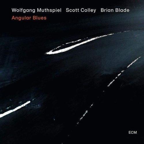 Wolfgang Muthspiel Angular Blues Plak