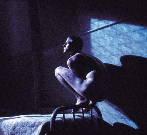 Peter Gabriel Birdy Plak