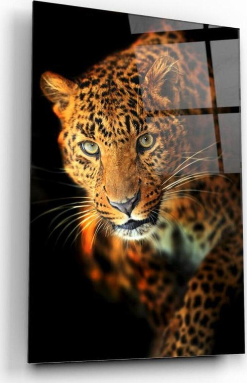 Leopar Cam Tablo | Hediyelik, Dekoratif, Ofis, Mutfak