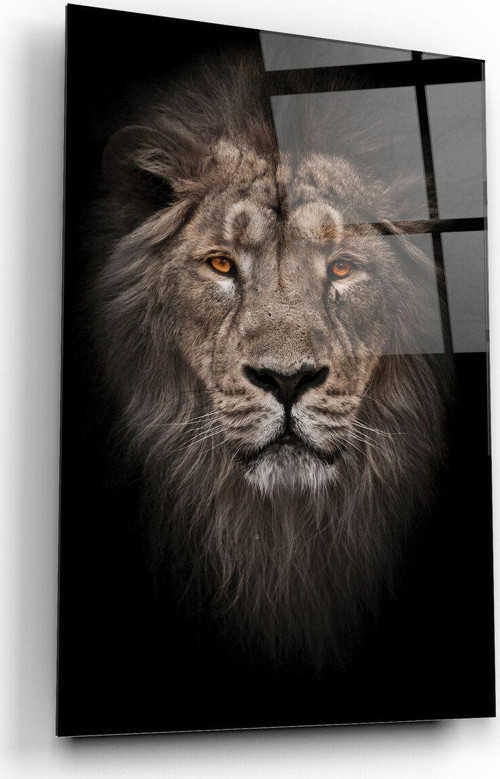 Aslan Cam Tablo | Hediyelik, Dekoratif, Ofis, Mutfak