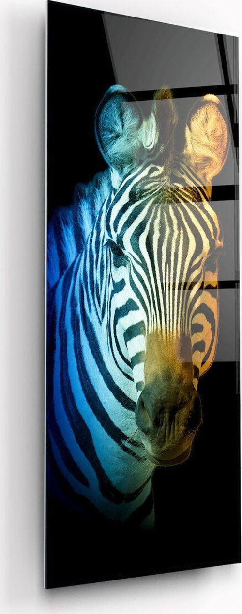 Zebra Panoramik Cam Tablo | Hediyelik, Dekoratif, Ofis, Mutfak