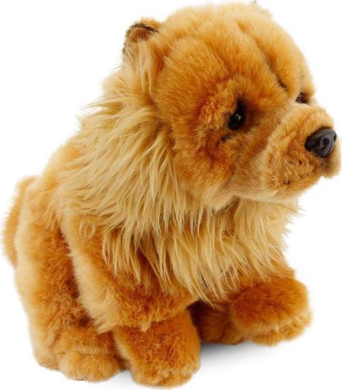 Chow Chow (Çin Aslanı) 28Cm