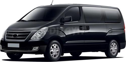 Hyundai H1 Krom Cam Çıtası 2 Prç 2008-2012