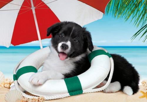 Sunny Beach Puzzle 104 Parça 25741
