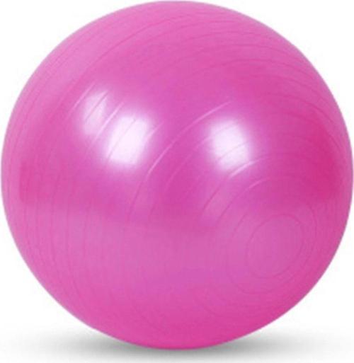 Pilates Topu 65 Cm
