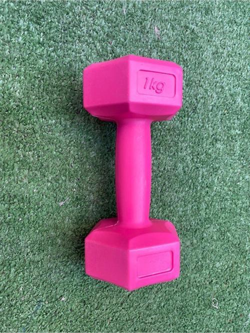 1 Kg Dambıl Ağırlık 1 Kg ( 1 Adet )
