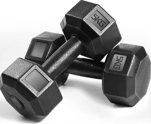 5 Kg X 2 Adet 10 Kg Dambıl Seti, Dumbell Set Dumbell 2X5 Kg