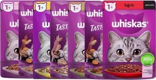 Karışık Pouch Yetişkin Kedi Yaş Maması 28X85 gr