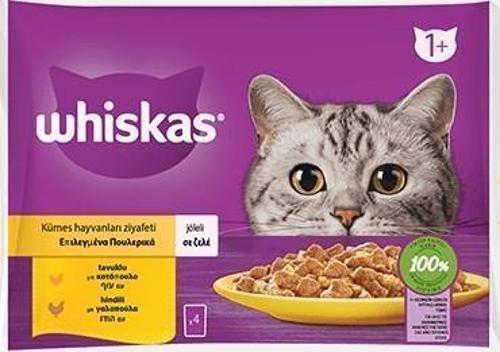 Tavuklu ve Hindili Yetişkin Kedi Yaş Maması 4X85 gr (13 Paket,52 Adet Tekli)