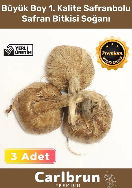 Premium Özel Dikime Hazır Yerli Üretim Büyük Boy 1. Kalite Safranbolu Safran Bitkisi Soğanı - 3 Adet
