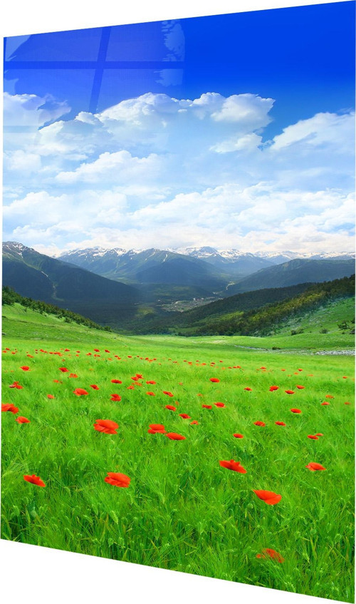 Çiçek Bahçesi ve Dağlar Manzara Cam Tablo
