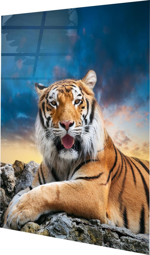 Kaplan Manzara Cam Tablo