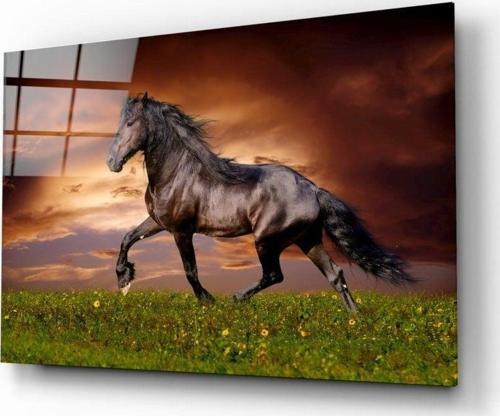 Atın Asaleti Cam Tablo | Hediyelik, Dekoratif, Ofis, Mutfak