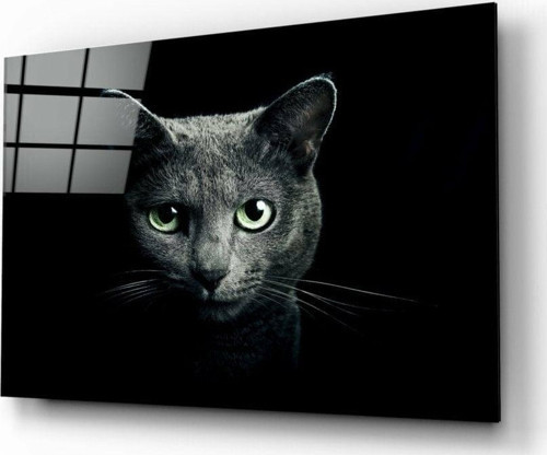 Kedi Cam Tablo | Hediyelik, Dekoratif, Ofis, Mutfak