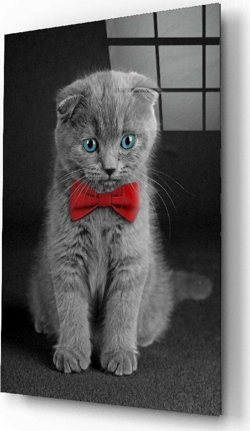 Kedi Cam Tablo | Hediyelik, Dekoratif, Ofis, Mutfak
