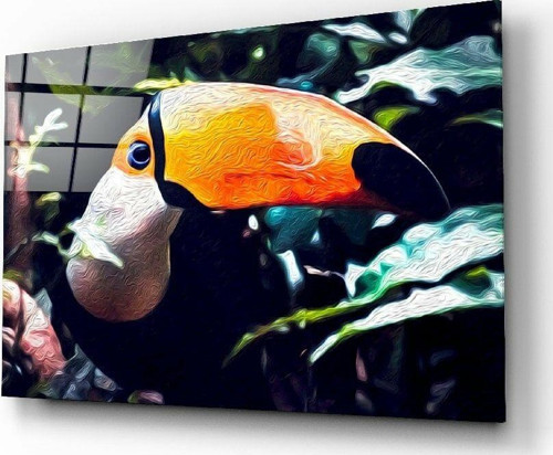 Toco Toucan Cam Tablo | Hediyelik, Dekoratif, Ofis, Mutfak