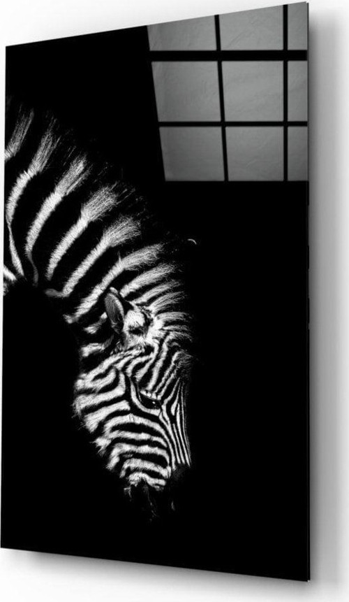 Zebra Cam Tablo | Hediyelik, Dekoratif, Ofis, Mutfak