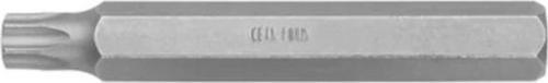 H10 TORX Bits Uç (Uzun Tip) - T55 x 75 mm