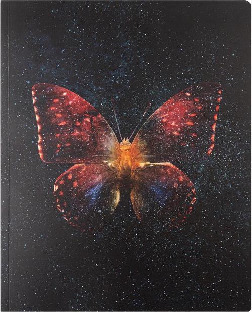 13x16.5 Kareli Bind-Note Butterfly - Kırmızı
