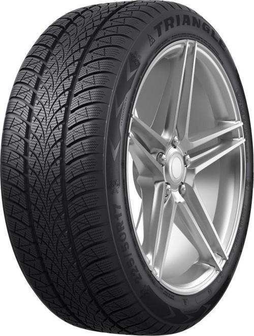 205/55R17 95V XL WinterX TW401 (Kış) (2024) Lastik