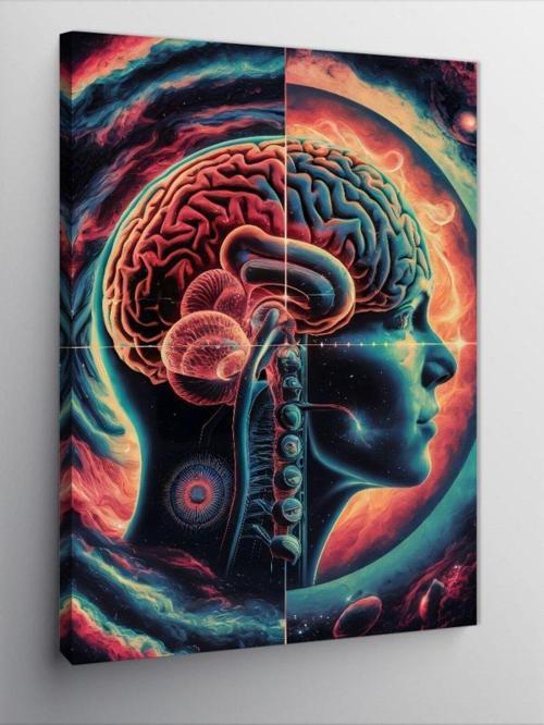 Kanvas Tablo İnsan Beyni Anatomisi