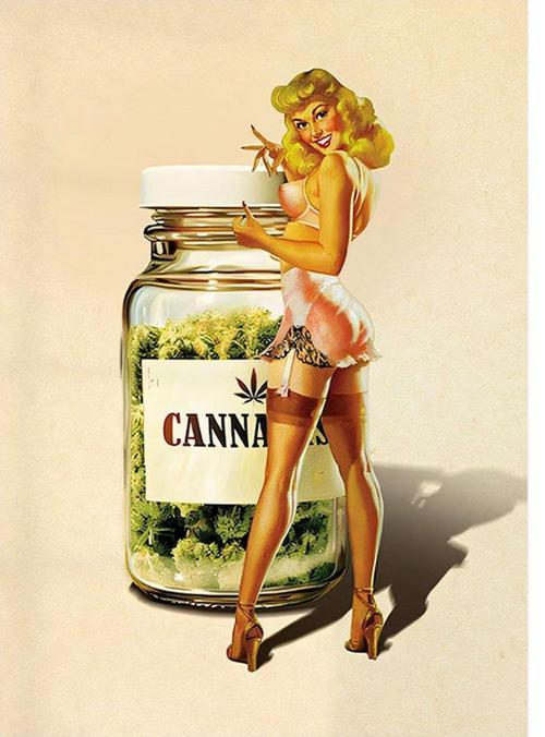 Yaramaz Pinap Kızı Desenli Mdf Tablo 50 cm x 70 cm