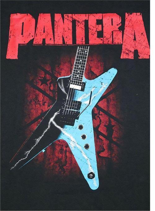 Pantera Müzik Grubu Desenli Mdf Tablo 35 cm x 50 cm
