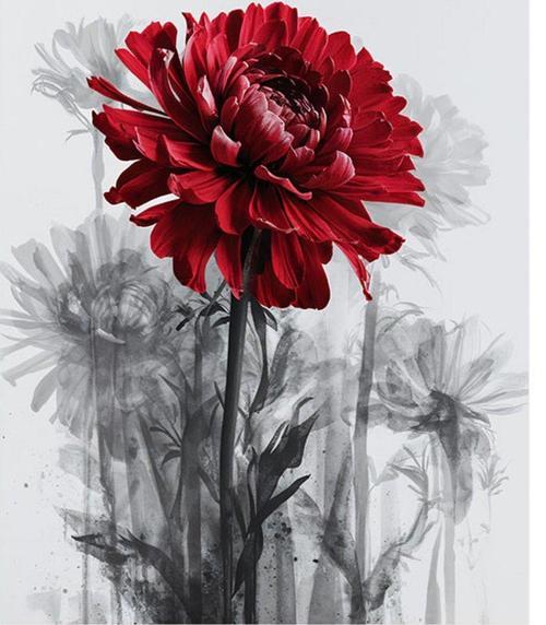 Kırmızı Karanfil Desenli Mdf Tablo 35 cm x 50 cm