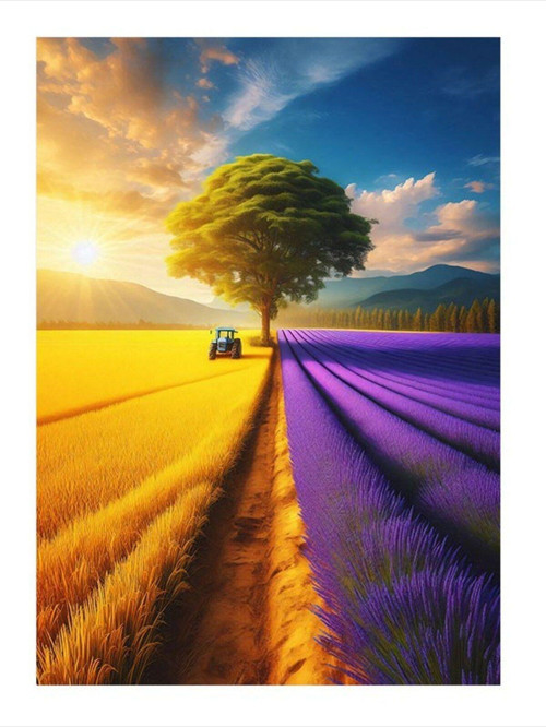 Buğday Tarlası Art Mdf Tablo 50 cm x 70 cm