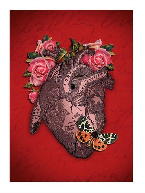 Gül Ve Kalp Model Mdf tablo 35 cm x 50 cm
