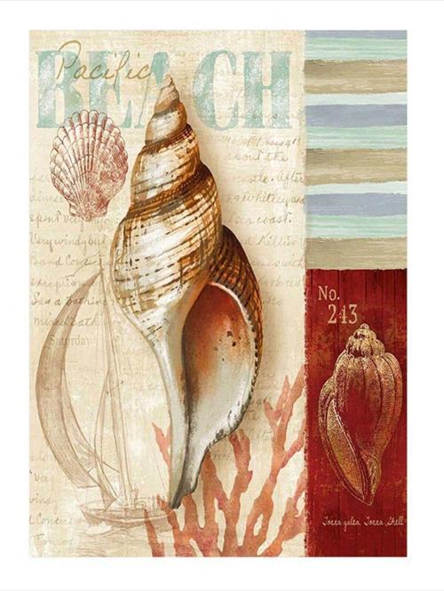 Deniz Kabuğu Kumsal Temalı Mdf poster 50 cm x 70 cm