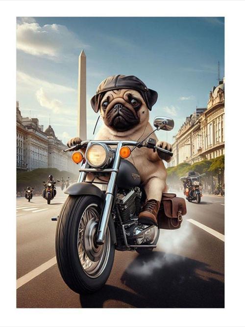 Motorcu Köpek Mdf poster 25 cm x 35 cm