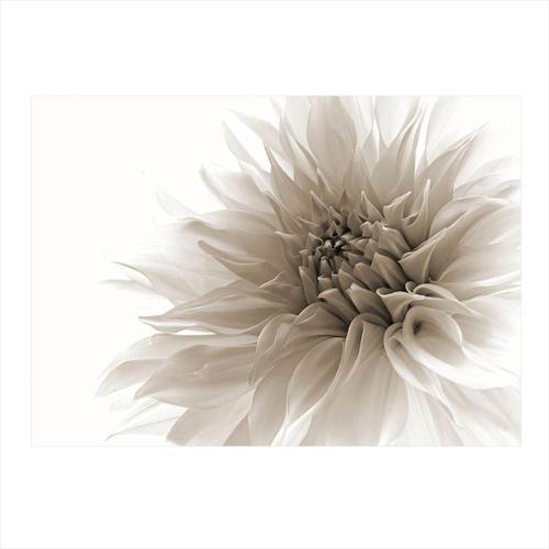 Beyaz Çiçek Modern Mdf Tablo 50 cm x 70 cm
